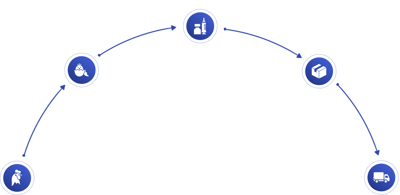 procedure-box